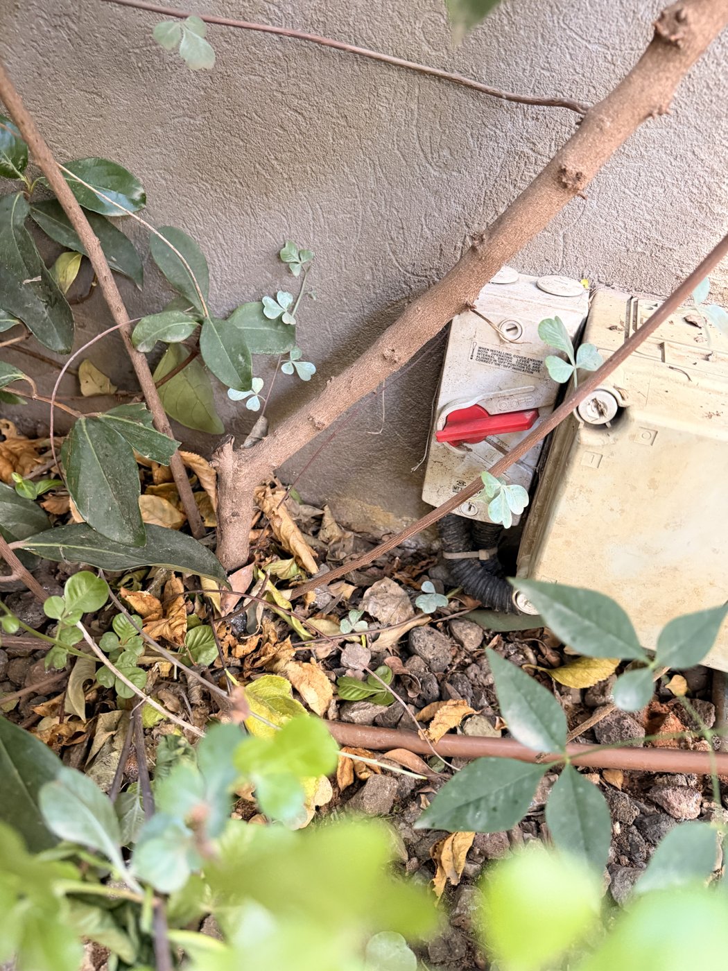 מפסק אדום בתוך השיחים, ניתוק חשמל לבריכה